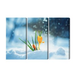 Mehrteiliges Bild Gelbe Krokusse  Die Durch Den Schnee Brechen