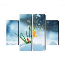 Mehrteiliges Bild Gelbe Krokusse  Die Durch Den Schnee Brechen