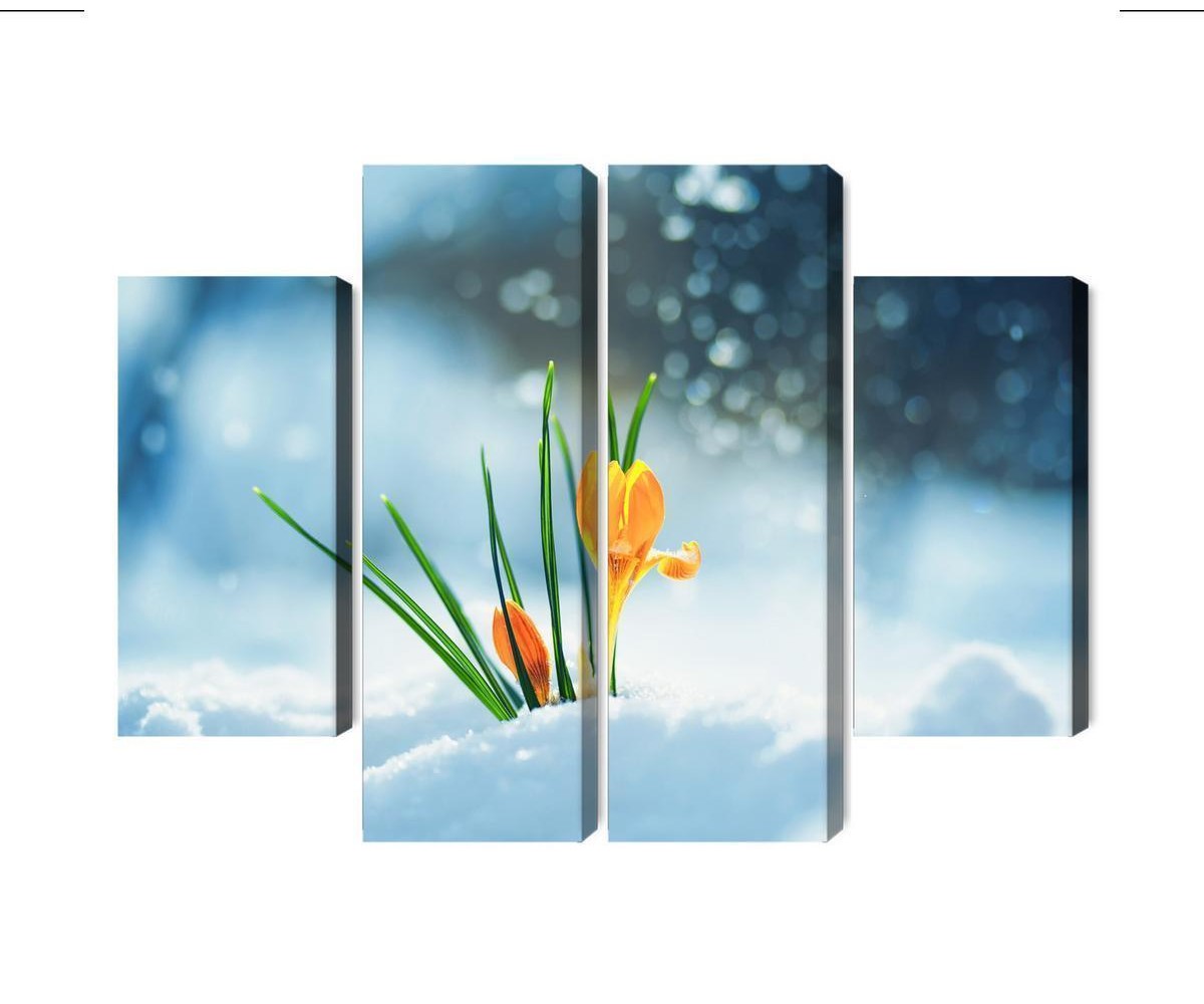 Mehrteiliges Bild Gelbe Krokusse  Die Durch Den Schnee Brechen