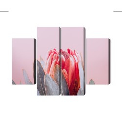 Mehrteiliges Bild Blüte Der Königlichen Protea Aus Nächster Nähe