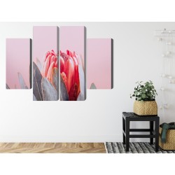 Mehrteiliges Bild Blüte Der Königlichen Protea Aus Nächster Nähe