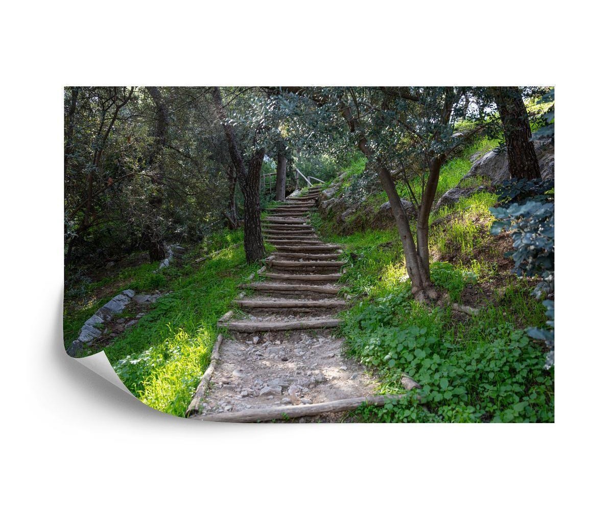 Fototapete Treppe Im Wald