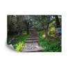 Fototapete Treppe Im Wald
