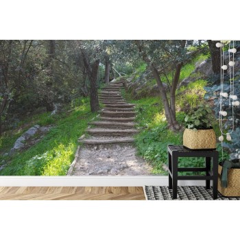 Fototapete Treppe Im Wald
