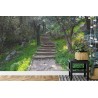 Fototapete Treppe Im Wald