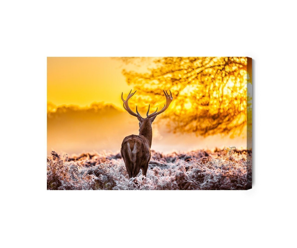 Leinwandbild Rehe Bei Sonnenaufgang