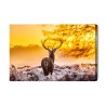 Leinwandbild Rehe Bei Sonnenaufgang