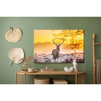 Leinwandbild Rehe Bei Sonnenaufgang