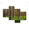 Mehrteiliges Bild 3D-Kiefernwald