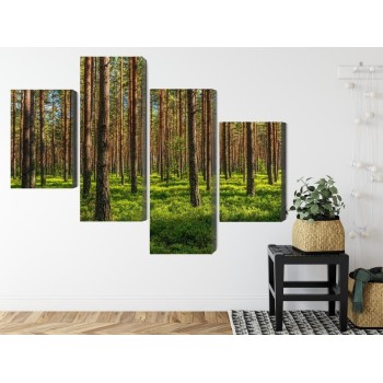 Mehrteiliges Bild 3D-Kiefernwald