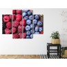 Mehrteiliges Bild Frisches Süßes Obst