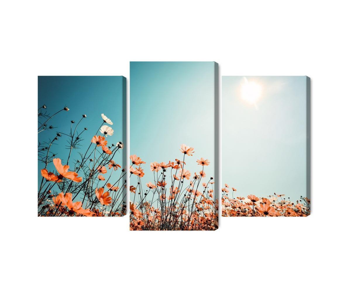 Mehrteiliges Bild Feldblumen In Der Sonne