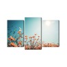 Mehrteiliges Bild Feldblumen In Der Sonne