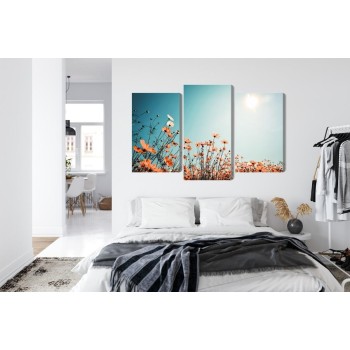 Mehrteiliges Bild Feldblumen In Der Sonne