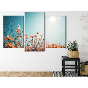 Mehrteiliges Bild Feldblumen In Der Sonne