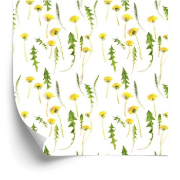 Tapete Löwenzahnblüten Mit Blättern