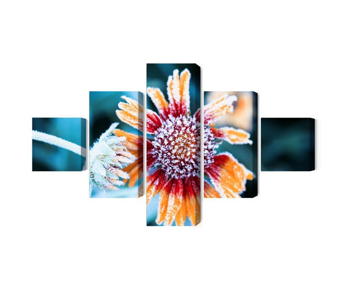 Mehrteiliges Bild Rudbeckia-Blüten Mit Reif Bedeckt