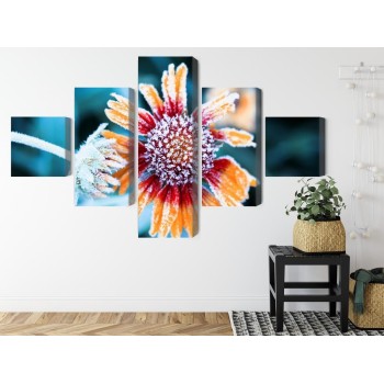 Mehrteiliges Bild Rudbeckia-Blüten Mit Reif Bedeckt