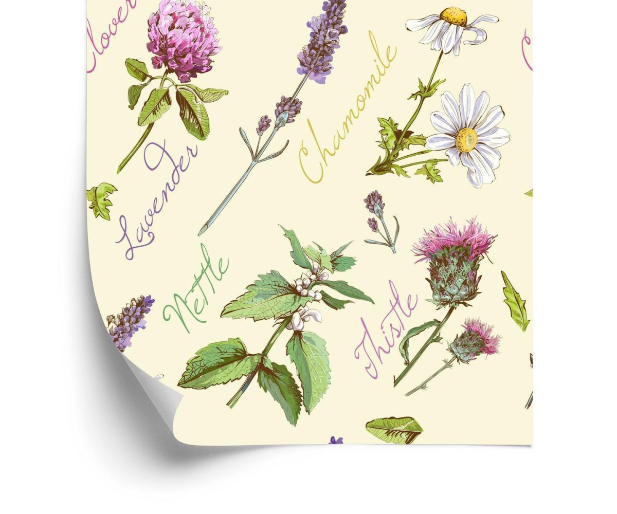 Tapete Gänseblümchen Mit Lavendel