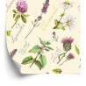 Tapete Gänseblümchen Mit Lavendel