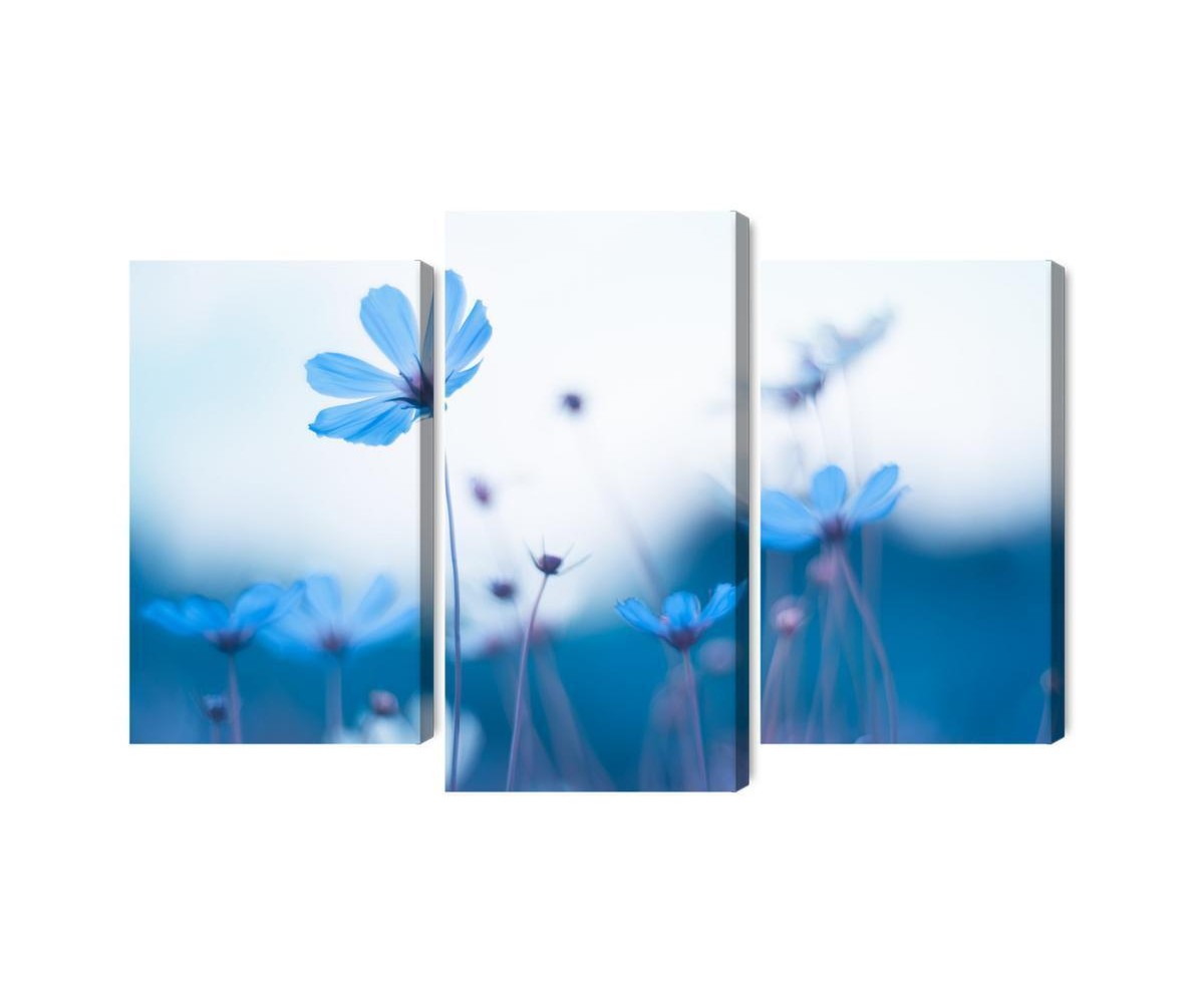 Mehrteiliges Bild Zarte Blaue Blüten