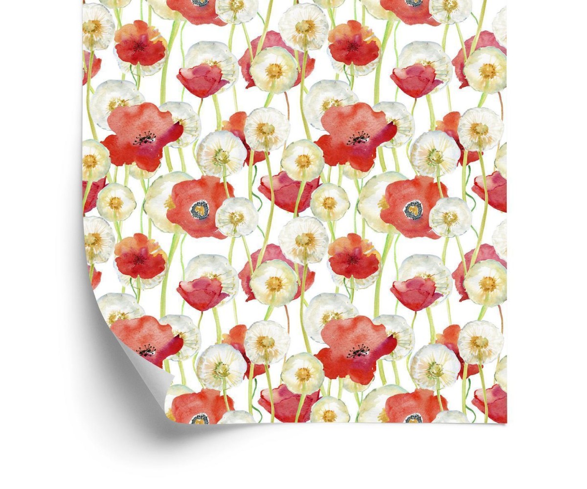 Tapete Mohnblumen Und Löwenzahn