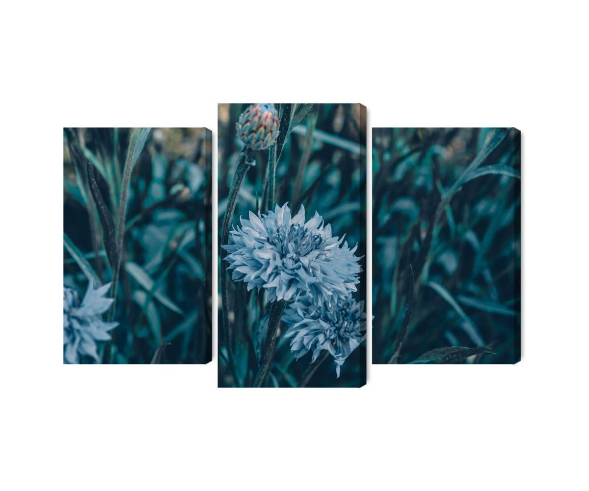 Mehrteiliges Bild Kornblumen Auf Der Wiese 3D