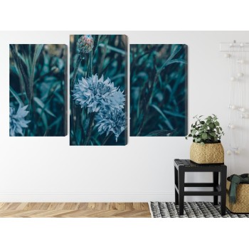 Mehrteiliges Bild Kornblumen Auf Der Wiese 3D